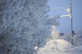 Зима в Заполярье – красавица и волшебница!